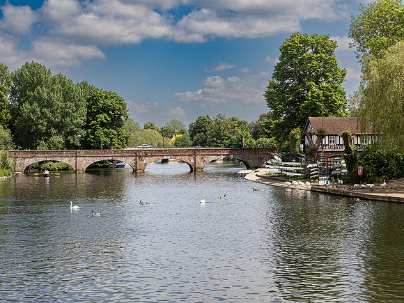 Tramway Bridge from RST Terrace by David P Howard