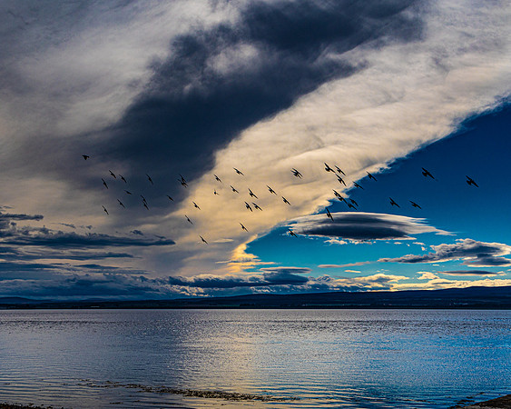 Cromarty Firth © Paul Tomlinson - 3rd=