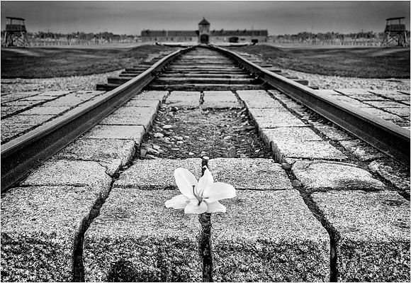 In Memory © Cliff Armstrong - 3rd.