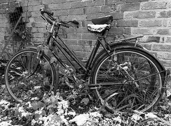Two Bicycles © David P Howard