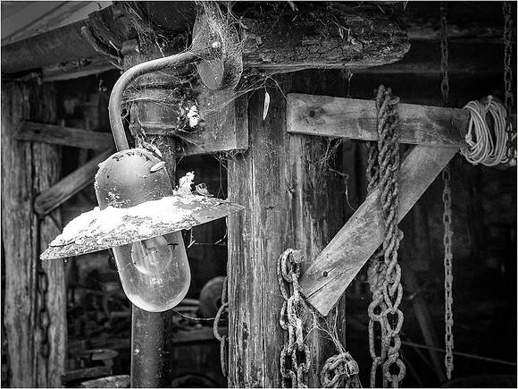 Chedham 005 © Cliff Armstrong