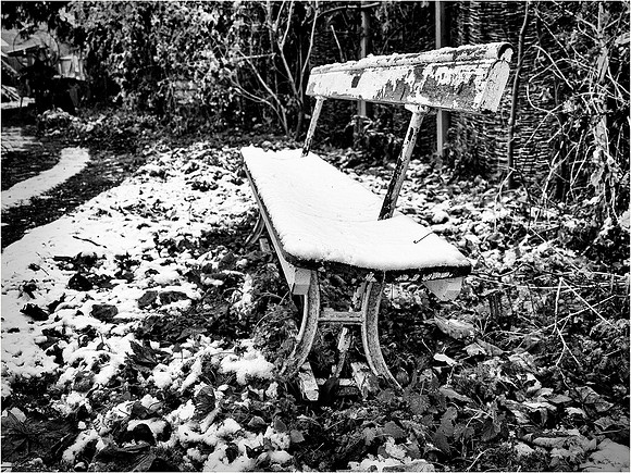 Chedham 001 © Cliff Armstrong