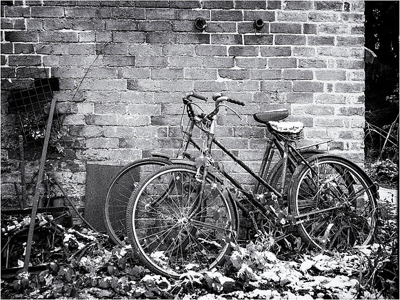 Chedham 002 © Cliff Armstrong