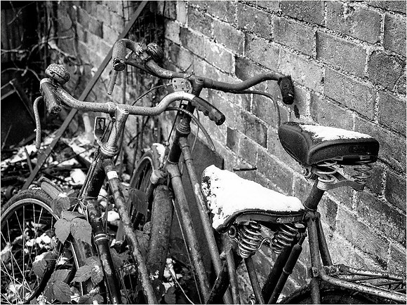 Chedham 006 © Cliff Armstrong