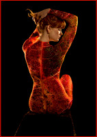 Artemis Autumn © Dick Prior - HC