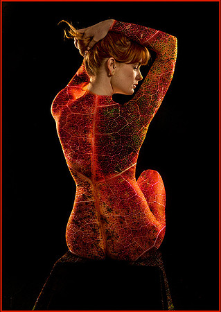 Artemis Autumn © Dick Prior - HC