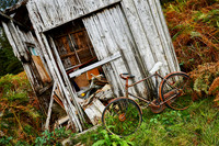 Downhill Ride © Stewart Band - HC