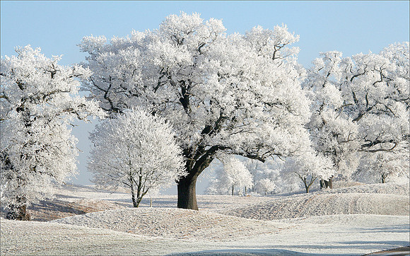 The Beauty of Winter © Heather Wood - HC