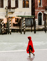 Caught In A Downpour © Brian Cole - 1st