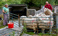 Off to Market © Stewart Band - C
