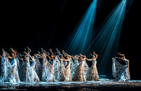 Peacock Dancers © Dick Prior - HC