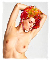 Phoenix © Dick Prior - C