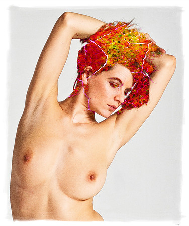 Phoenix © Dick Prior - C