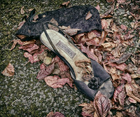End of Season © Stewart Band - C