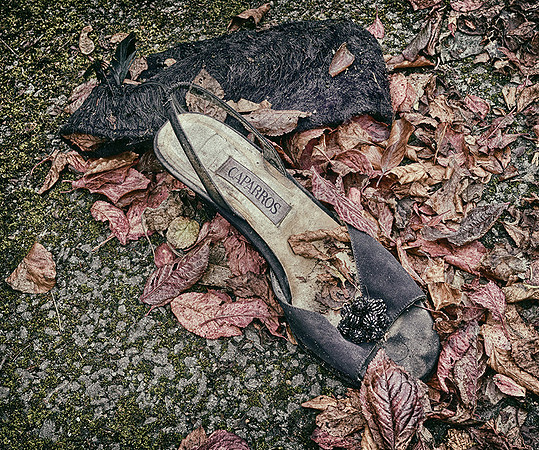 End of Season © Stewart Band - C