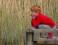 Contemplation © Andrew Leask - C