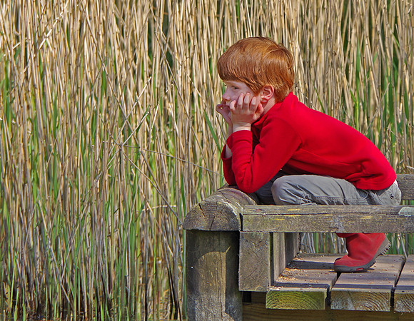 Contemplation © Andrew Leask - C