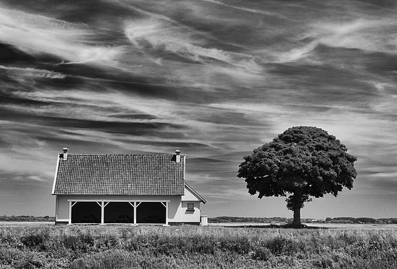 Summer on the Somme © John Roach - C