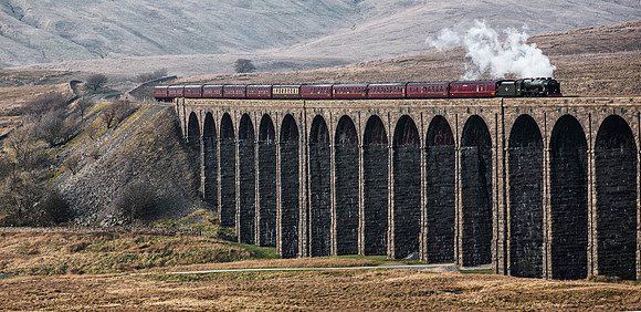 Steaming South © Peter Harris - 1st.