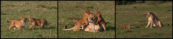 Playtime © Mary Kirkby - 1st.