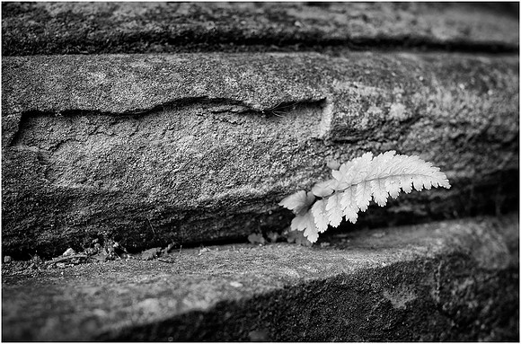 05 MIG © Cliff Armstrong