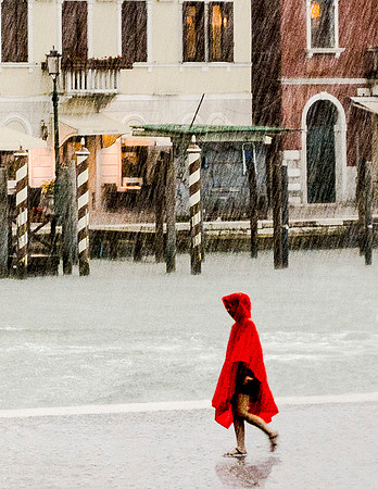 Caught in a Downpour © Brian Cole 1st
