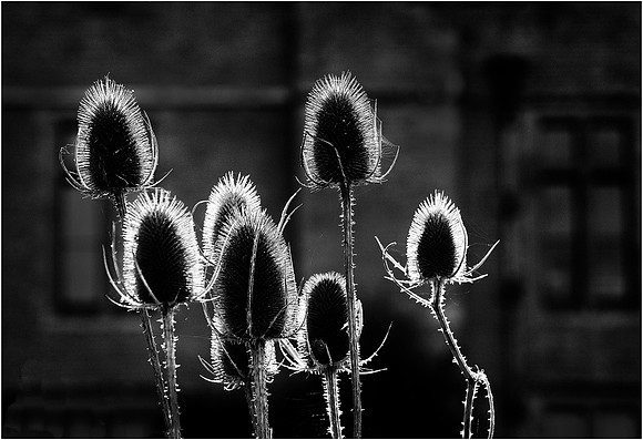 04 MIG © Cliff Armstrong
