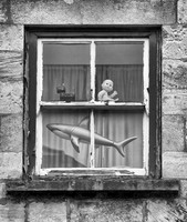 Surrealist Window Decor © John Roach - 2nd