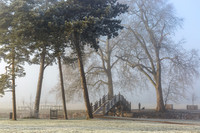 Misty morning walk at Croome © Jill Dyson Orme - 2nd