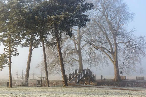 Misty morning walk at Croome © Jill Dyson Orme - 2nd