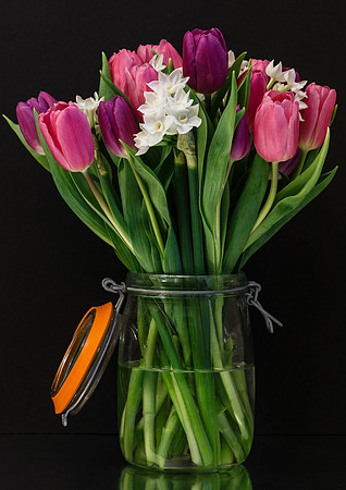 Spring flowers © Jill Dyson Orme - HC