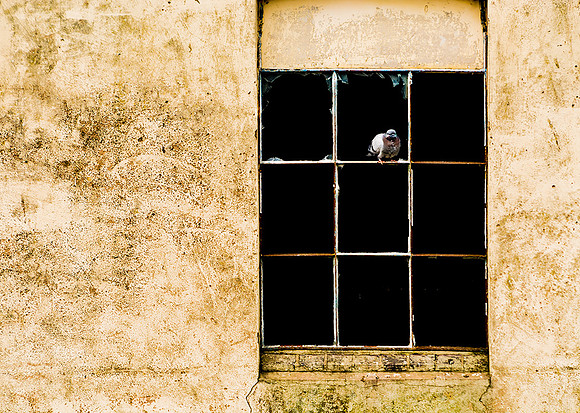 The Lookout © Brian Cole 1st