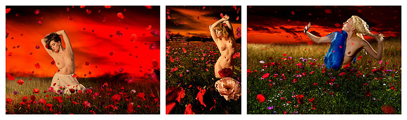 Poppy Sunset © Dick Prior 3rd