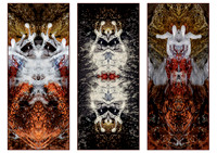 Abstract Insects © Michael Robertson-Smith C