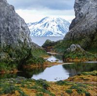 Arctic View © Mary Kirkby - HC