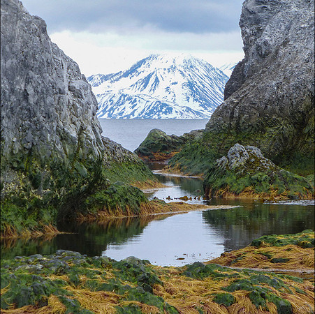 Arctic View © Mary Kirkby - HC