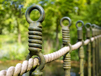 Twisted © David P Howard - C