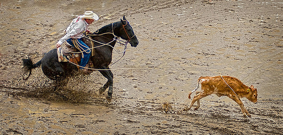 Rodeo © Dick Prior - 3rd.