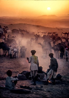 Watching the setting sun © Heather Wood - HC
