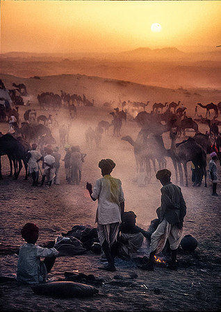 Watching the setting sun © Heather Wood - HC