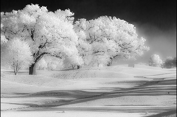 Frost magic © Derek Wood - HC