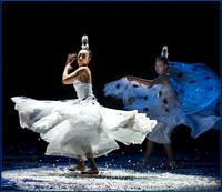 Dance of the Peacock © Dick Prior - 1st.