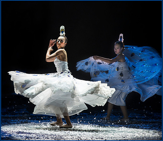 Dance of the Peacock © Dick Prior - 1st.