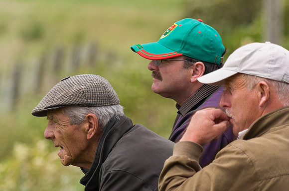 The Spectators © Peter Gilbert - 1st