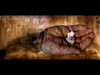 The persistence of loss © Dick Prior - HC