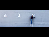 Painting the Gulls © David P Howard - HC