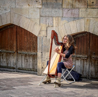 The Harpist © Michael Robertson-Smith - 1st= & Print of the Year