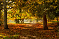 Autumn Colours © Richard Hodge 3rd