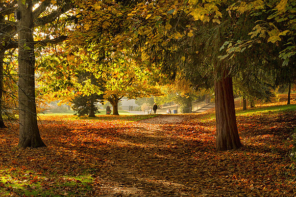 Autumn Colours © Richard Hodge 3rd