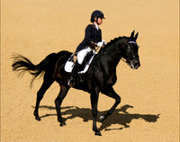 Dressage Discipline © Fred Reeve - 3rd.